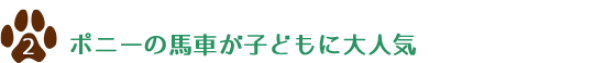 ポニーの馬車が子どもに大人気