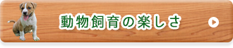 動物飼育の楽しさ