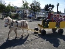 動物の不思議 part.2