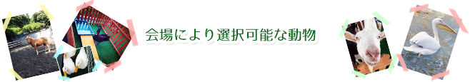 会場により選択可能な動物