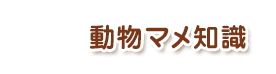 動物マメ知識