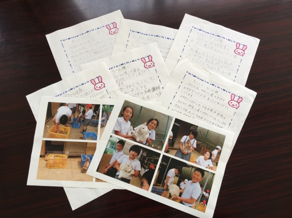 うさぎ🐰達が静岡県沼津市の内浦小学校に里親決定しました！